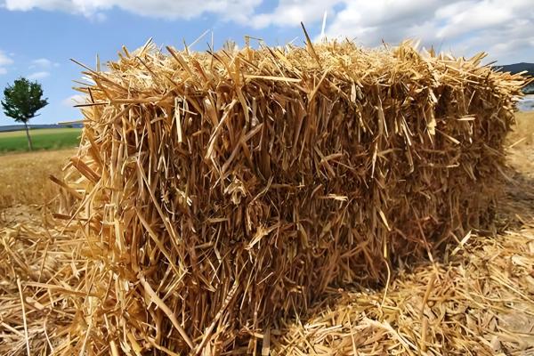 有机肥来源于哪里，常见作物秸秆、禽畜粪便等原料