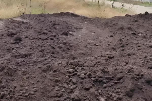 有机肥来源于哪里，常见作物秸秆、禽畜粪便等原料