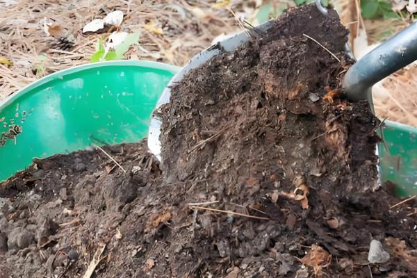 有机肥来源于哪里，常见作物秸秆、禽畜粪便等原料