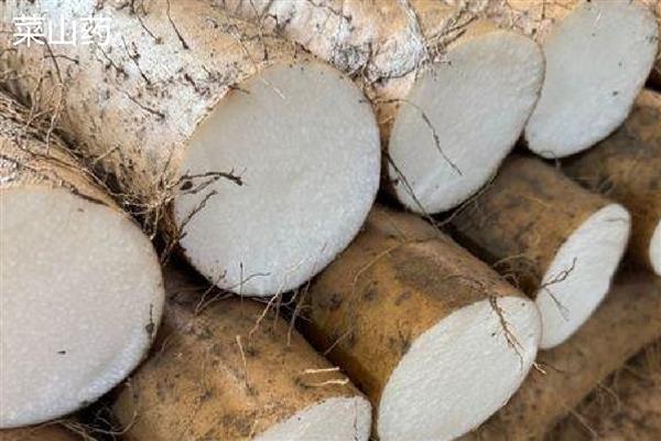脆和面的山药区分，外观和产地均不同