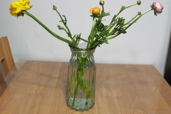 鲜花多久换一次水，每天都要换水