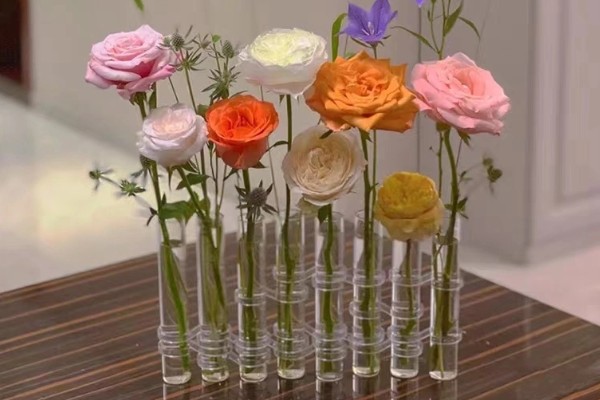 鲜花多久换一次水，每天都要换水