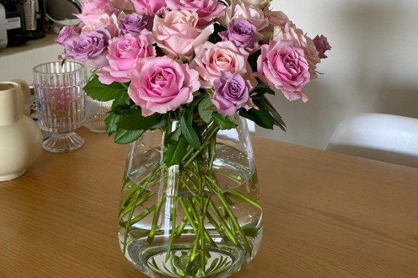 鲜花多久换一次水，每天都要换水