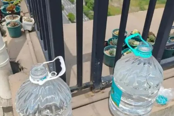 鲜花多久换一次水，每天都要换水