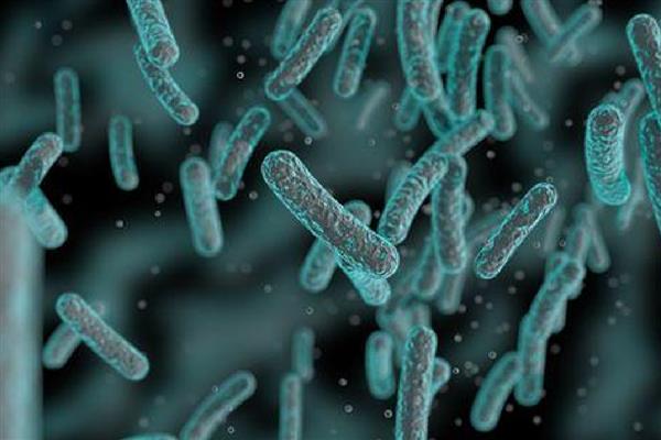 绿弧菌与黄弧菌哪个有害，绿弧菌的危害要大一点