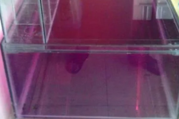 鱼缸用什么消毒，一般用高锰酸钾消毒
