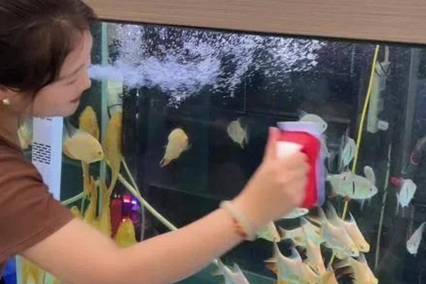 鱼缸用什么消毒，一般用高锰酸钾消毒