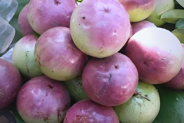 牛奶果可以放几天,没清洗过可以放2-3天