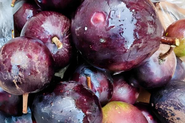 牛奶果可以放几天,没清洗过可以放2-3天