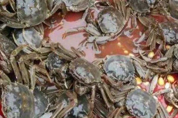 河蟹挑选方法，偏重的河蟹肉质较多