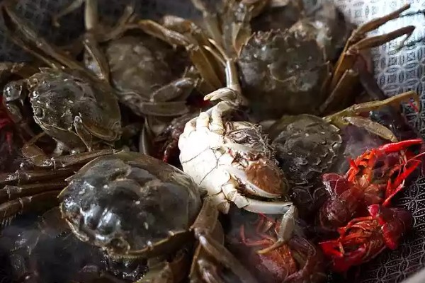 河蟹挑选方法，偏重的河蟹肉质较多