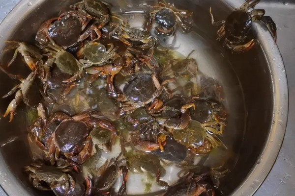 河蟹挑选方法，偏重的河蟹肉质较多