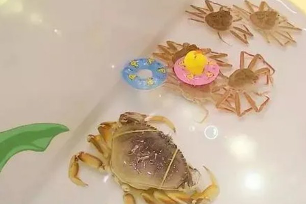 河蟹挑选方法，偏重的河蟹肉质较多