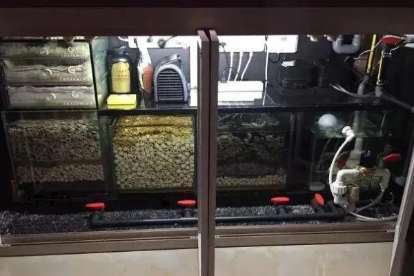 河水能养鱼吗,河水可以养鱼