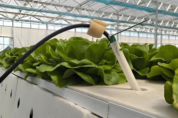 智慧农业的简介，将互联网技术运用在农业生产中