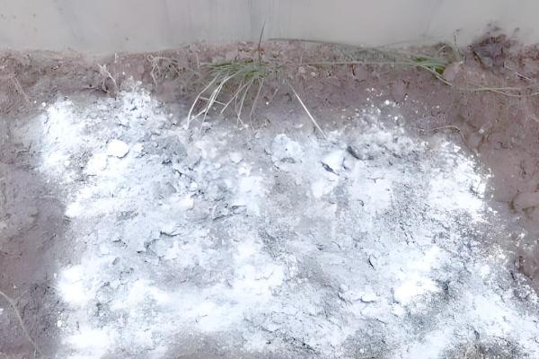 土壤板结如何快速弄松,需要施用有机肥料