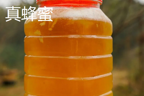 蜂蜜很稀是不是真的，真蜂蜜通常比较粘稠