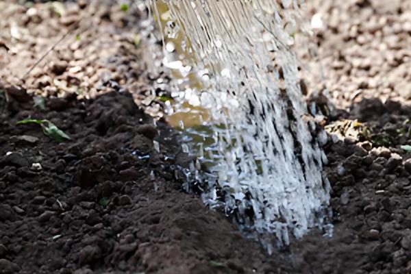 土壤板结如何快速弄松,需要施用有机肥料