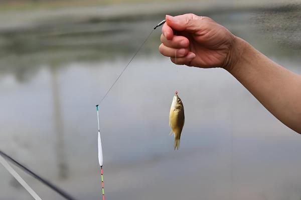 1号袖钩用几号子线合适,一般搭配0.4号子线