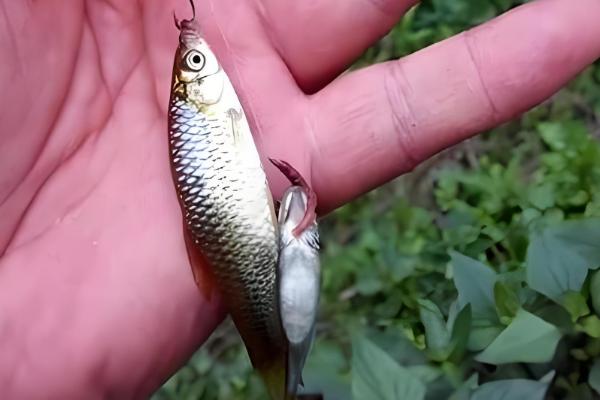 1号袖钩用几号子线合适,一般搭配0.4号子线