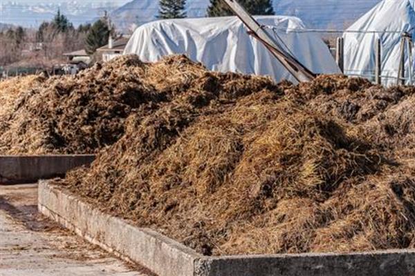农家肥与有机肥的区别，发酵方法和时间均不同