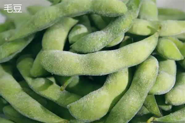毛豆和青豆有什么区别,概念、颜色都不同