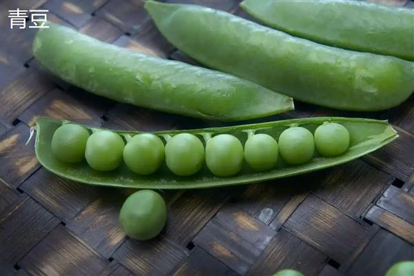 毛豆和青豆有什么区别,概念、颜色都不同