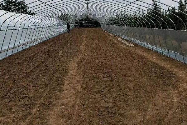 新建大棚土壤缺乏有机质怎么处理，需增施生物菌肥