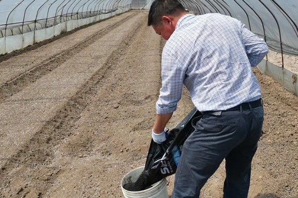 新建大棚土壤缺乏有机质怎么处理，需增施生物菌肥