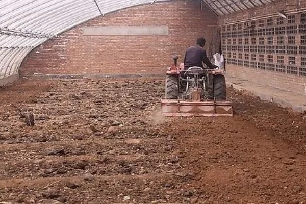 新建大棚土壤缺乏有机质怎么处理，需增施生物菌肥