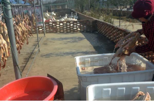 屠宰场的利润大不大,生猪屠宰场的利润率为3-5%