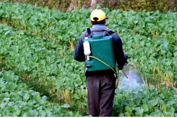 农药的科学施用方法，要看天气施药