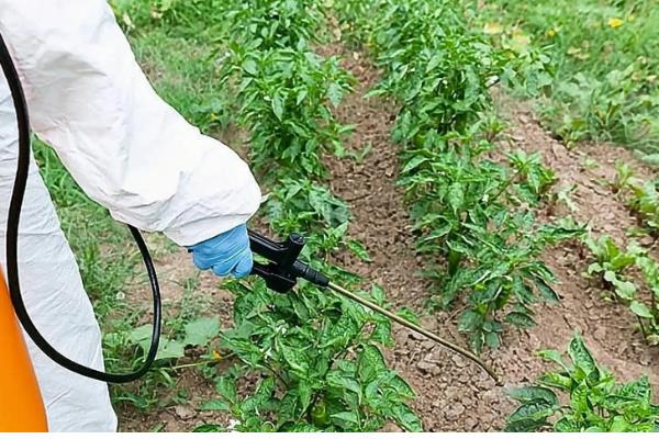 农药的科学施用方法，要看天气施药