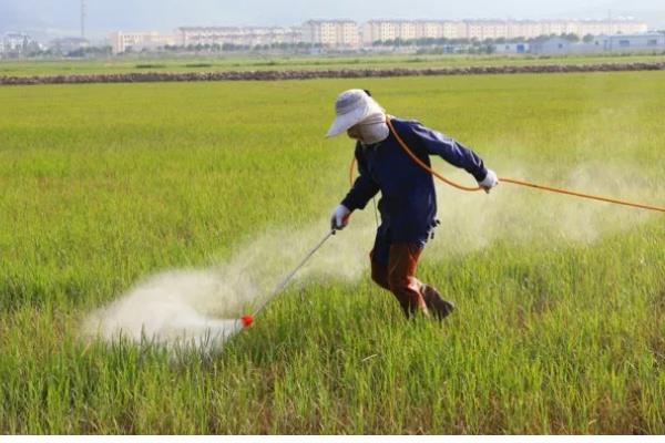 农药的科学施用方法，要看天气施药