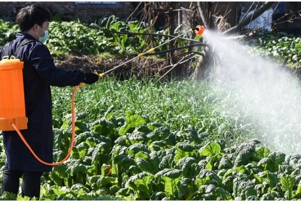 农药的科学施用方法，要看天气施药