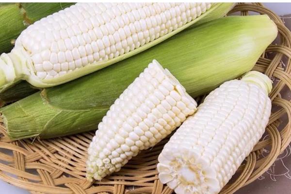 水果玉米的种植前景，种植前景广阔