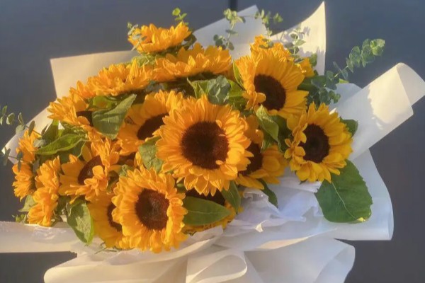 向日葵的醒花时间，需要浸泡3-4个小时