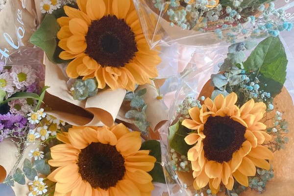 向日葵的醒花时间，需要浸泡3-4个小时