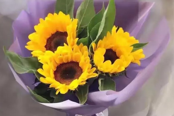 向日葵的醒花时间，需要浸泡3-4个小时