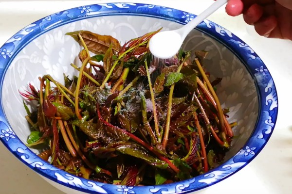 香椿在冰箱中的保存时间，新鲜香椿可保存2-4天左右