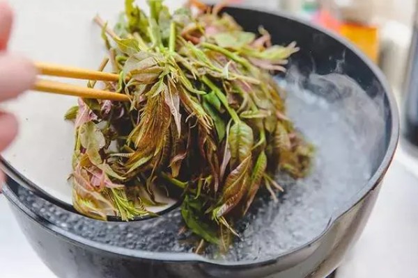 香椿在冰箱中的保存时间，新鲜香椿可保存2-4天左右