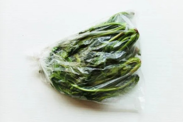 香椿在冰箱中的保存时间，新鲜香椿可保存2-4天左右