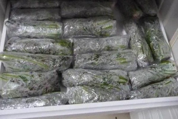 香椿在冰箱中的保存时间，新鲜香椿可保存2-4天左右