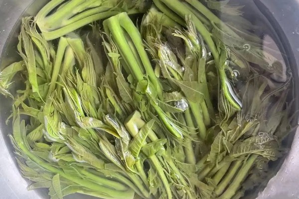 香椿在冰箱中的保存时间，新鲜香椿可保存2-4天左右