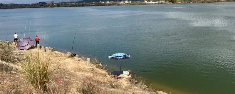 三月份钓鱼用什么饵料，根据温度决定