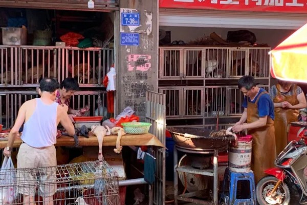 土鸡的销售渠道，一般就近联合销售
