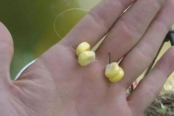 三月份钓鱼用什么饵料，根据温度决定