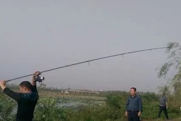 三月份钓鱼用什么饵料，根据温度决定