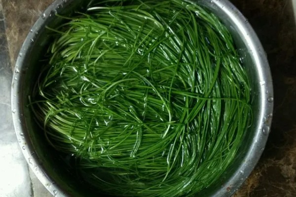 韭菜去除农药残留的方法,以下四种方式都可以洗净残留的药物