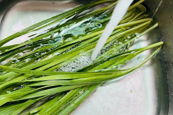 韭菜去除农药残留的方法,以下四种方式都可以洗净残留的药物